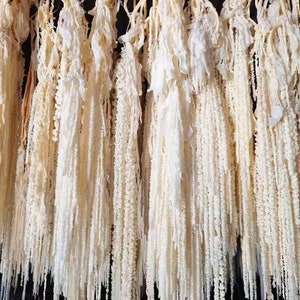 Bleached Hanging Amaranthus - 5-6 Stems / Dried Flowers / Bleached Flowers