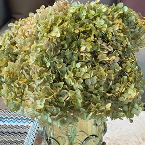 May include: A large, dense bouquet of dried hydrangea flowers in shades of muted green, pale yellow, and soft brown. The flowers are arranged in a clear glass vase featuring a textured surface with raised, circular, bubble-like glass accents.