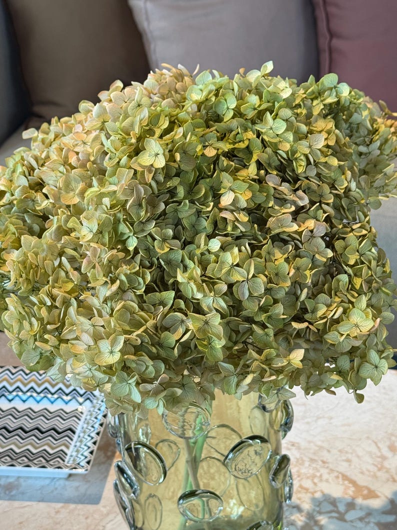May include: A large, dense bouquet of dried hydrangea flowers in shades of muted green, pale yellow, and soft brown. The flowers are arranged in a clear glass vase featuring a textured surface with raised, circular, bubble-like glass accents.