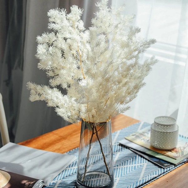 Bleached Ming Fern 2-4 Stems  Dried Fern / Asparagus Fern/ Bleached Flowers / Dried Flowers / Preserved Flowers