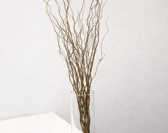 Curly Willow Branches | 10 Stems | 2–3 Ft Tall | Sculptural Natural Branch Decor | Wedding, Home & Event Styling
