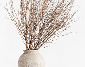 Snow Willow Branches – 3-5 Stems 2 ft, Natural Decorative Branches, Tall Vase Filler, Dried Branches, Modern Organic Vase Decor
