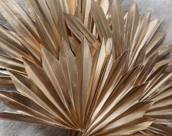 Dried Sun Palm Gold - 5 stems / Fan Palm / Dried Leaves / Gold Palms / Palm Fronds / Gold Dried Palm Leaf