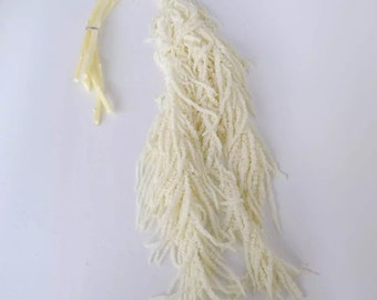 White Bleached Hanging Amaranthus - 5-6 Stems / Dried Flowers / Bleached Flowers / Hanging Flower