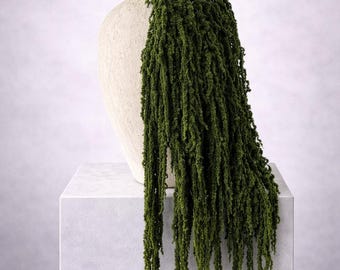 Green Amaranthus | Long Hanging Stems | 5 Stems | Dried Preserved Amaranthus | Wedding Greenery & Home Decor