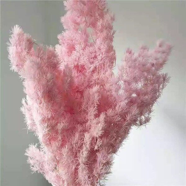 Ming Fern Asparagus Pink 2-4 Stems / Dried Flowers / Bleached Flowers / Preserved Flowers / Pink Dried Flower