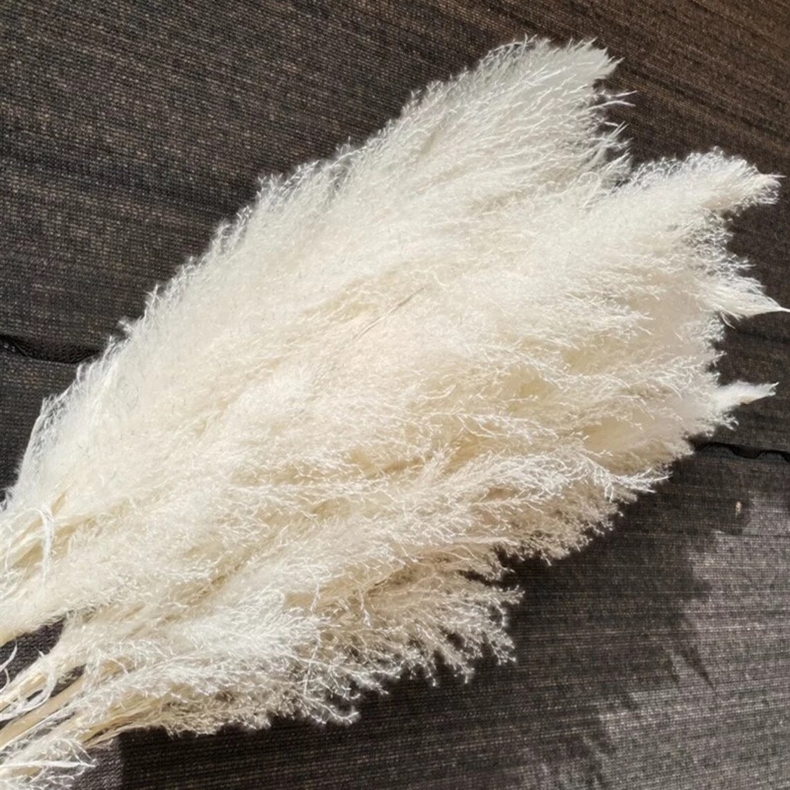 White Fluffy XL 4ft Pampas Grass 4 Stems / Tall Pampas Grass Etsy UK