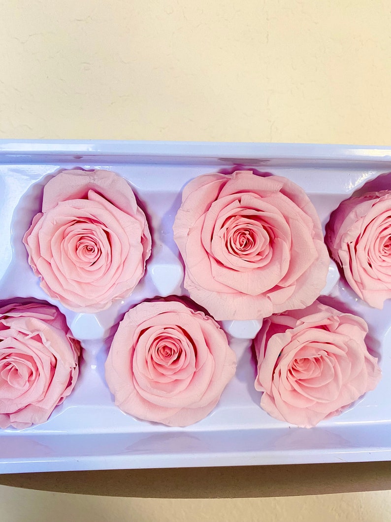 Preserved Natural Roses Eternity Roses Forever Roses 6 Etsy