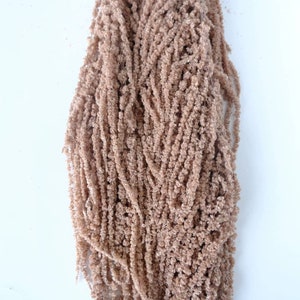 Light Brown Hanging Amaranthus  - 5-6 stems / Preserved Flowers / Dried Hanging Flower / Dried Florals