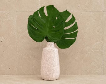 Preserved Monstera Leaves (Set of 3) | Real Preserved Tropical Leaves | Modern Green Botanical Decor | Vase Fillers | Interior Styling