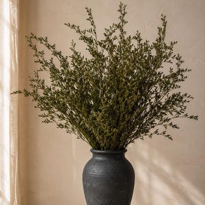 May include: A large, dark charcoal-colored ceramic vase with a rounded body and a narrow neck, filled with a dense arrangement of dried, olive-green limonium flowers that branch out in a wide, airy, and textured display of small, delicate buds.