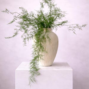 Puede incluir: Un jarrón de cerámica texturizada de color crema lleno de follaje verde vibrante similar a un helecho. El jarrón se encuentra sobre un pedestal blanco, creando una exhibición minimalista y elegante. Las frondas de helecho caen con gracia.