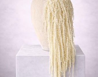 White Hanging Amaranthus | Long Cascading Stems | 5 Stems | Premium Dried Preserved Amaranthus | Wedding & Neutral Decor