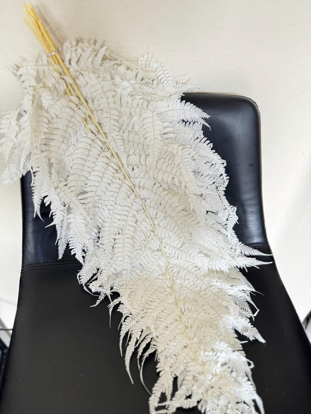 White Long Dried Fern 10 Stems / Big Fern / Preserved Fern / Dried Fern ...