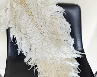 Bleached Ferns White Large - 10 Stems, Wedding Bouquet, Boho Decor, DIY Floral Crafts, Rustic Home Decor, Neutral Floral Arrangement
