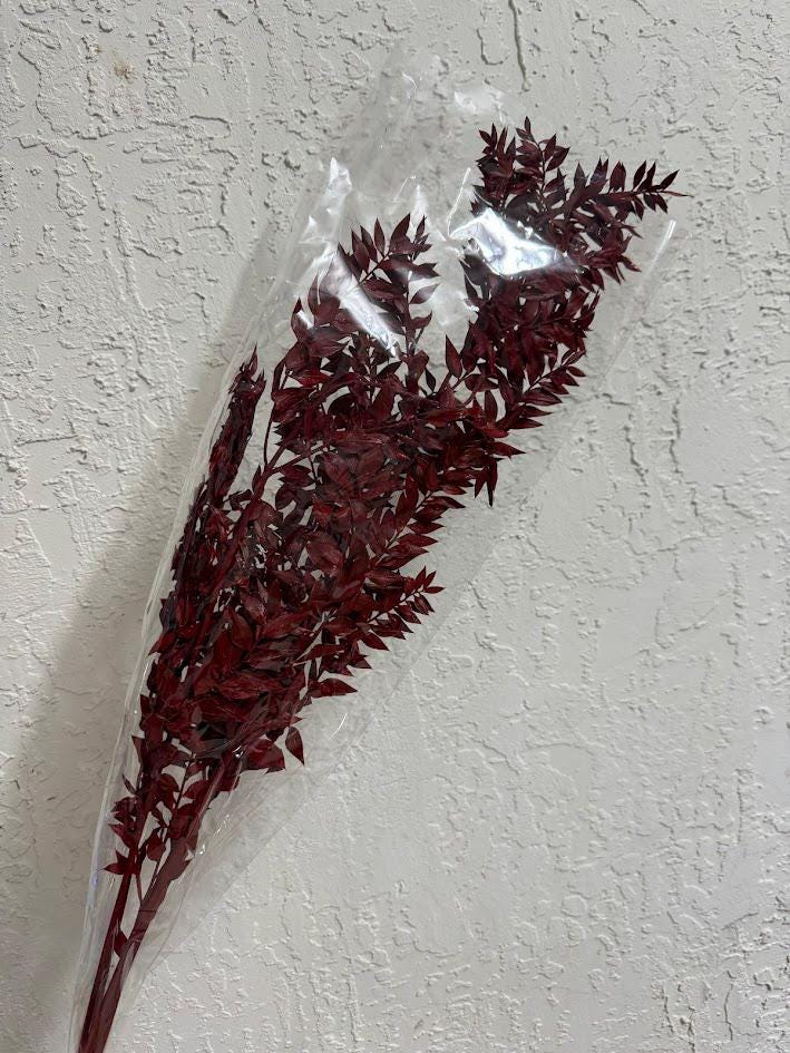 Italian Ruscus Red - 5 Stems  / Bleached Ruscus / Preserved Ruscus Stems / Dried Ruscus
