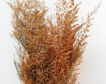 Caspia Limonium Orange Preserved   - Large Bunch