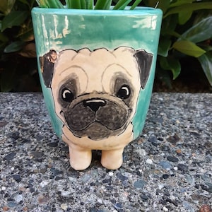 May include: A teal ceramic planter with a pug face painted on the front. The planter has four small feet and is holding a small green plant.
