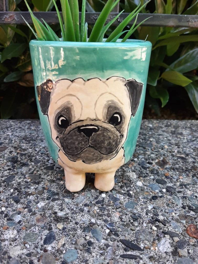 Puede incluir: Una maceta de cer&aacute;mica de color turquesa con la cara de un carlino pintada en la parte delantera. La maceta tiene cuatro peque&ntilde;as patas y contiene una peque&ntilde;a planta verde.