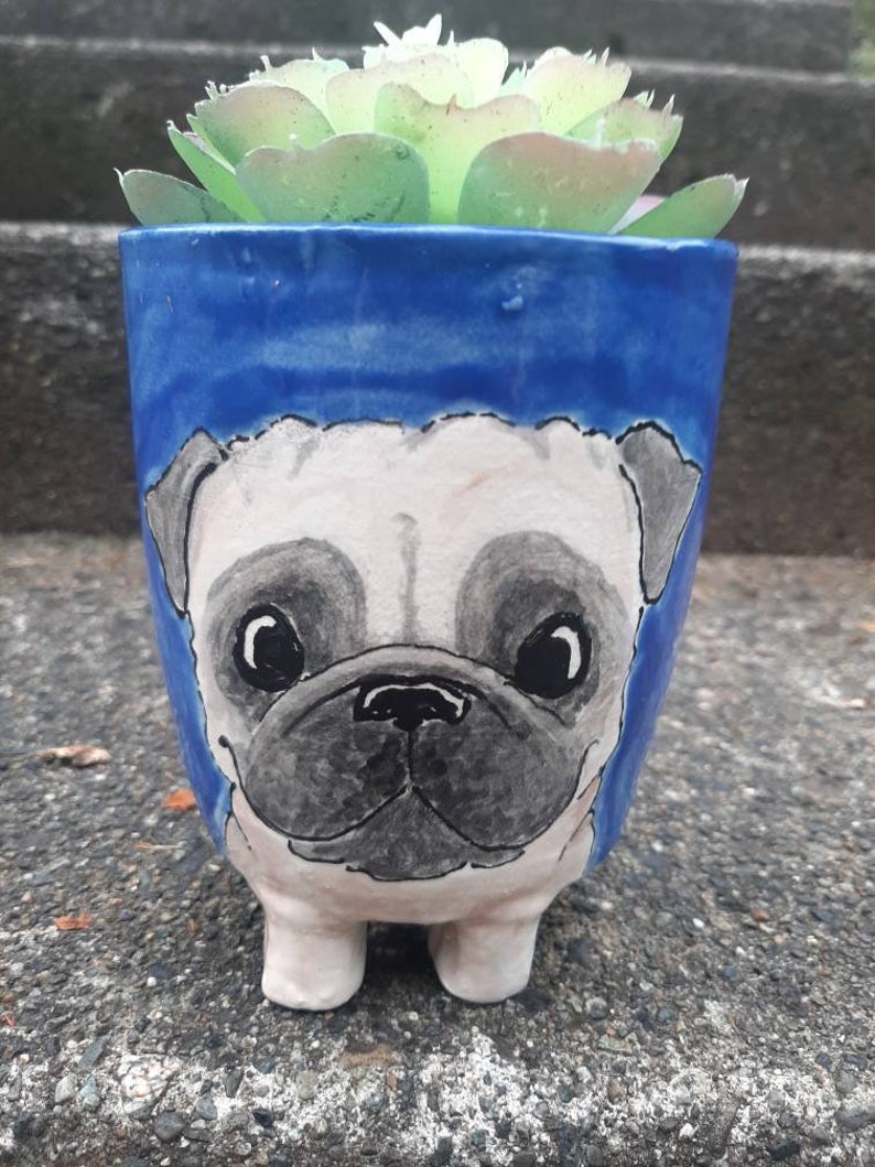 Puede incluir: Una maceta de cer&aacute;mica azul con forma de perro pug con una planta suculenta en su interior. La maceta tiene una cara blanca con ojos, nariz y boca negros.