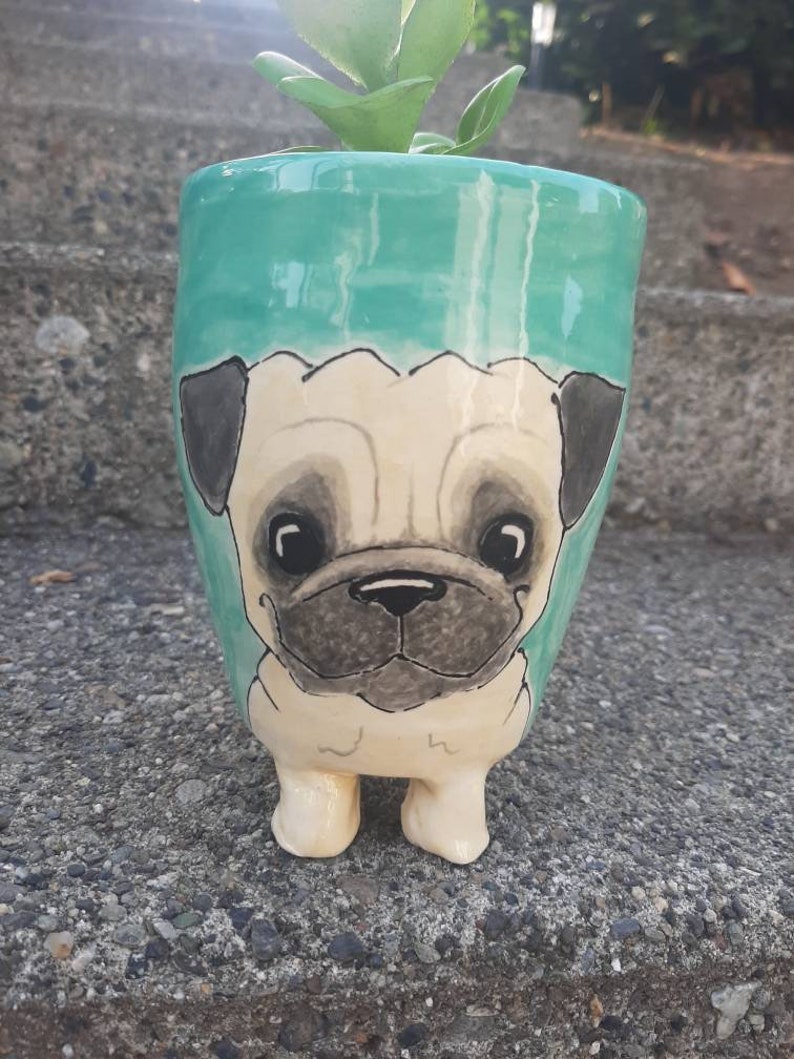 Puede incluir: Una maceta de cer&aacute;mica de color turquesa con forma de perro carlino con ojos negros y nariz negra. La maceta tiene cuatro patas y est&aacute; sentada sobre una superficie de hormig&oacute;n gris.