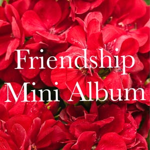 Geranium theme friendship mini album class,  Eveyday class and kit,  Mini album kits, Paper crafting class and kit