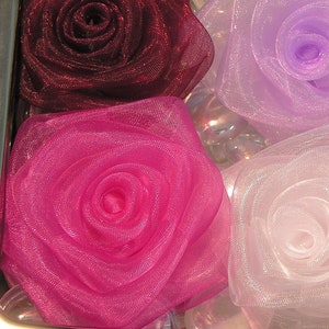 Sheer Roses, 2&quot;