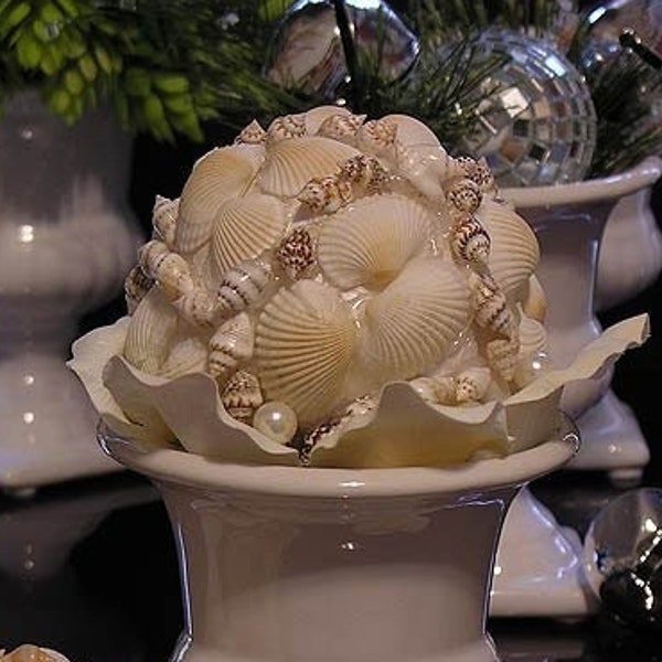 Oyster Shell Ball Etsy