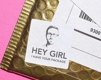 Hey Girl | Small Shop Packaging Stickers | Shipping Stickers | Happy Mail | 24 stickers per sheet | 1.5 inch stickers | HG1