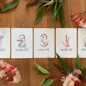 Baby Milestone Cards  |  Australian Animal Design