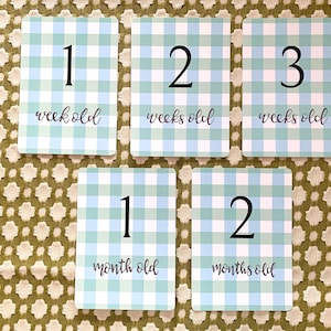 Gingham Green Design  |  Baby Milestone Cards