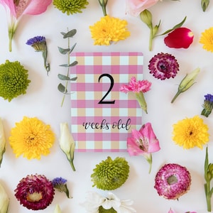 Gingham Pink Design  |  Baby Milestone Cards