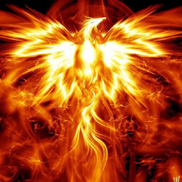 Phoenix Rising Oil