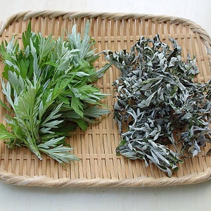 May include: Two bunches of mugwort, one fresh and green, the other dried and gray, displayed on a woven bamboo tray.