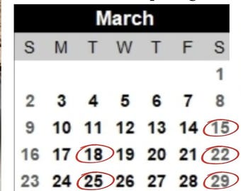 Paper Mache Workshop Glasgow | Eco-Friendly DIY Art Classes