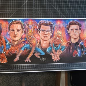 Spiderman Evolution Canvas Print