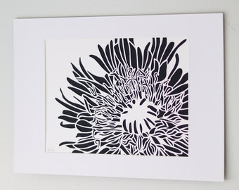 Stokes Aster Mounted Paper Cut