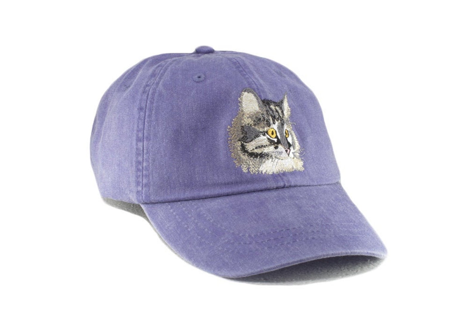 Cap cat видео. Кошка в бейсболке. cap cat водяная марка. cap cat.