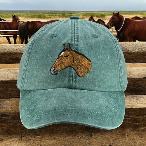 Horse Embroidered Low Profile Dad Hat, Baseball Cap  display picture 1