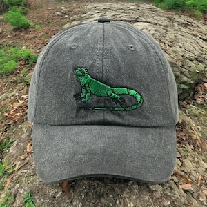 May include: A dark gray baseball cap with a green embroidered iguana on the front.