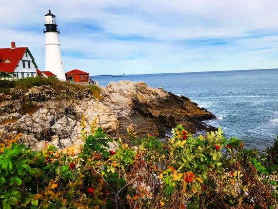 The Lighthouse