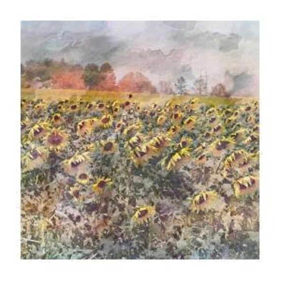 Note Cards