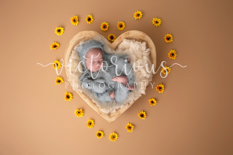 Sunflower Heart Digital Backdrop