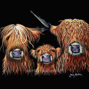 Highland Cow Print 'We 3 CooS'Shirley MacArthur, Cow Art, Cow Gifts, Cow Prints,Highland Cow, Cow Painting,Kids Room,Inspirational Kids Gift