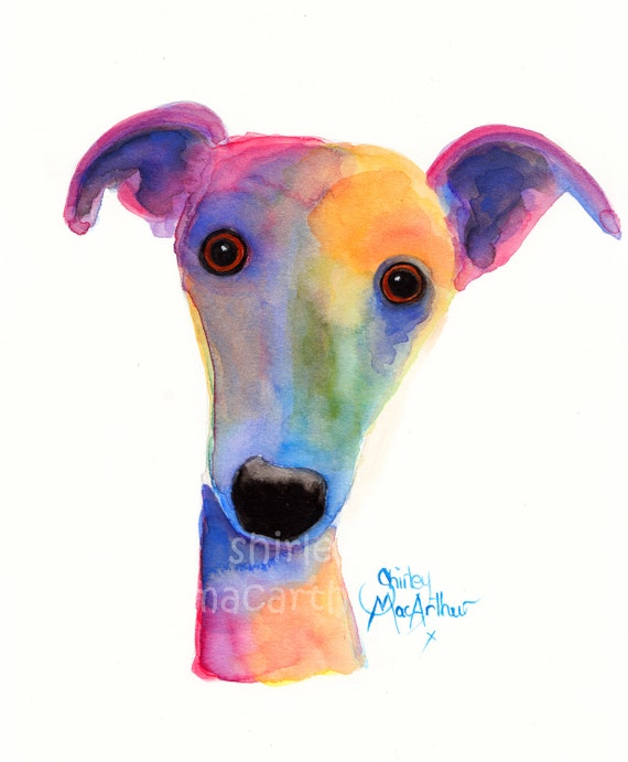 WHIPPET GREYHOUND PRINTS WaLL ART CaNVaS of Original Painting HANK by SHIRLEY M