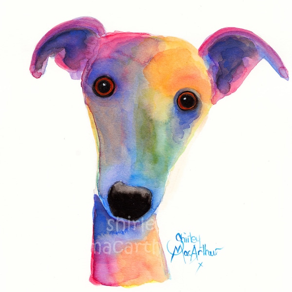 Whippet Greyhound Print Art Wall Canvas ' PaNSY ' by SHiRLeY MacARTHuR Italian Greyhound, custom pet portraits,Trending Now,Best Selling