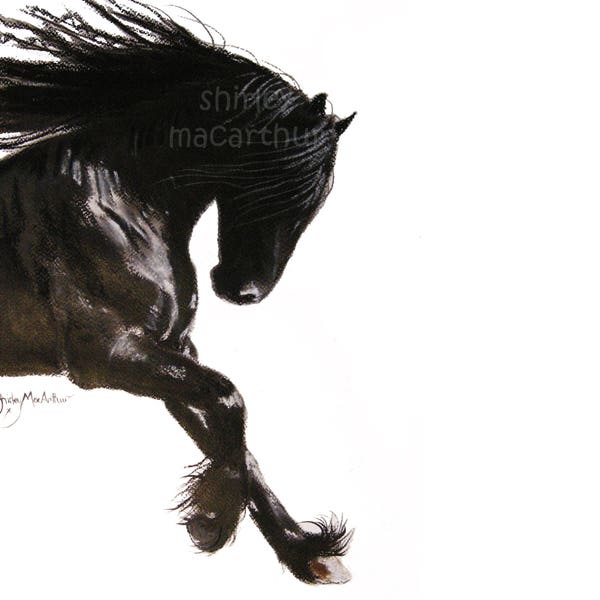 Cheeky/Cute Print in 3 SIZES of Original Watercolor Art Black Friesian Horse Painting ' COOL DANCER ' par Shirley MacArthur
