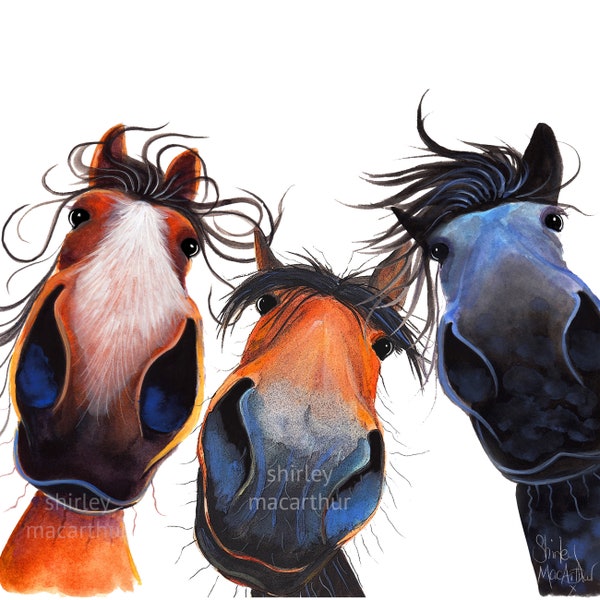 Greetings Card Happy Horses 'WHo LeFT THe GaTe OPeN?' Shirley MacArthur Scottish Greetings Card, Horse Equestrian Greetings Card, Cute Horse