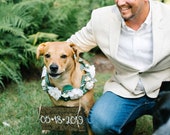 Engagement Photo Dog Flower Collar, Save the Date Dog Photo, Custom Order Dog Floral Wreath, Custom Dog Floral Collar, Pet Wedding Collar