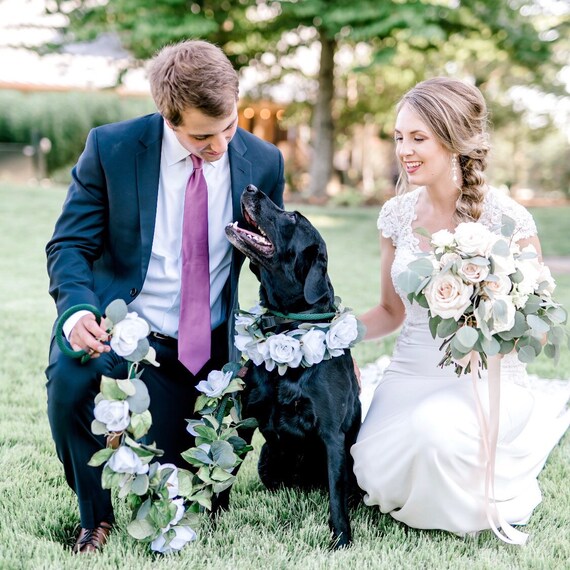 wedding dog leash